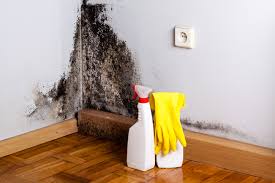 Best Biohazard Mold Removal  in Irwin, SC